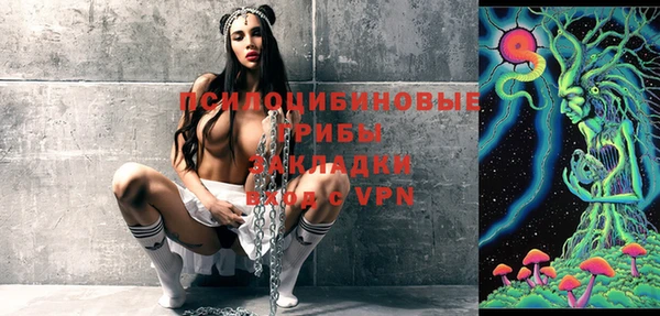 ПСИЛОЦИБИНОВЫЕ ГРИБЫ Алексеевка